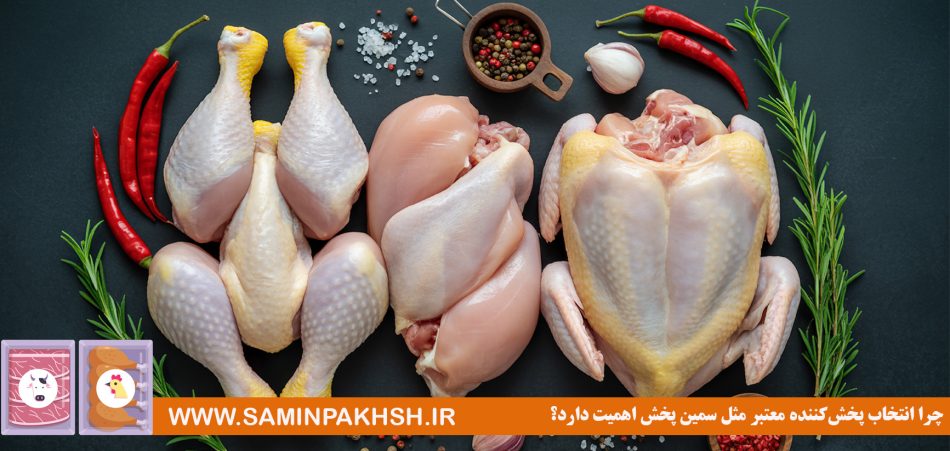 چرا انتخاب پخش‌کننده معتبر مثل سمین پخش اهمیت دارد؟ 