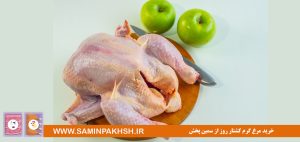 خرید مرغ گرم کشتار روز از سمین پخش