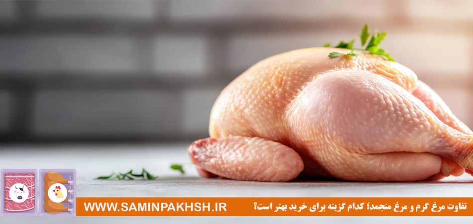 چطور از فساد گوشت و مرغ جلوگیری کنیم؟